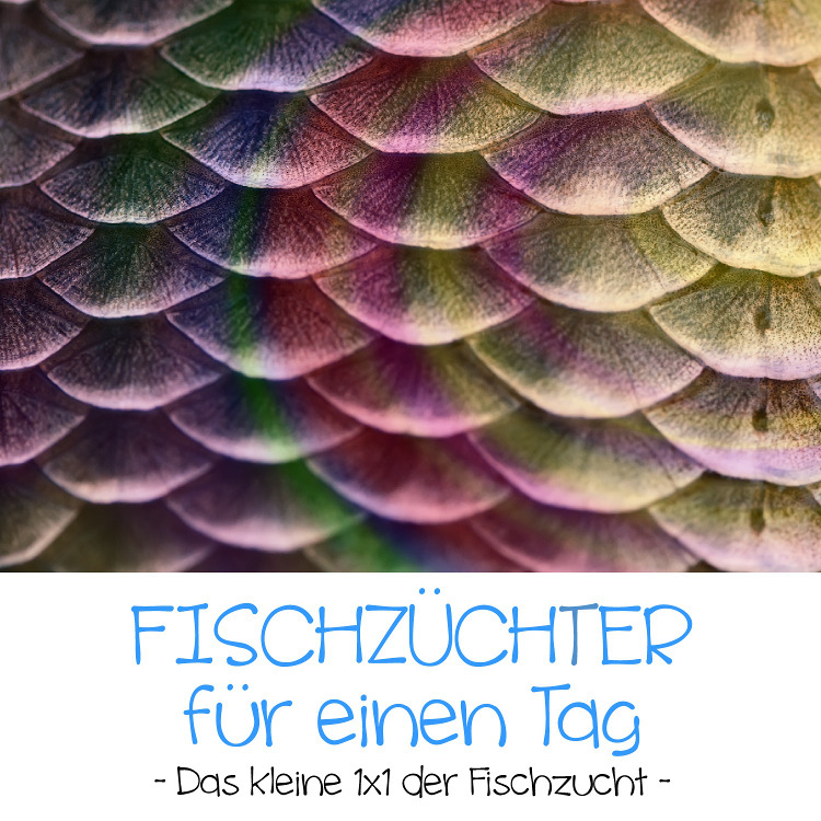 Ferienprogramm 2021 - Fischzucht