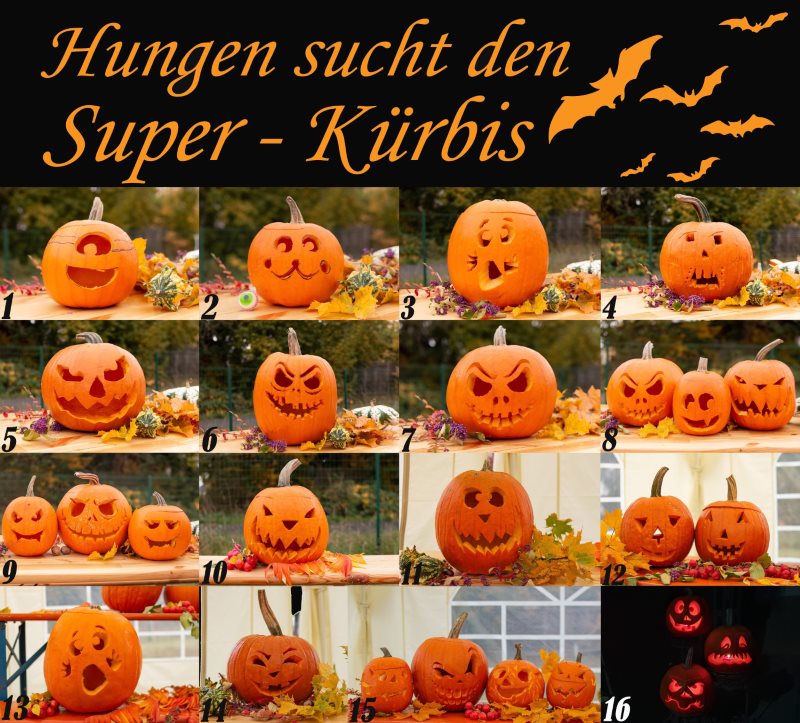 Hungen sucht den Super-Kürbis!